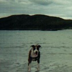 description