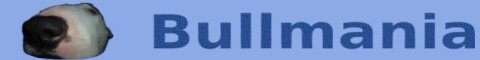 English Bull Terrier gallery, information, breeders and links